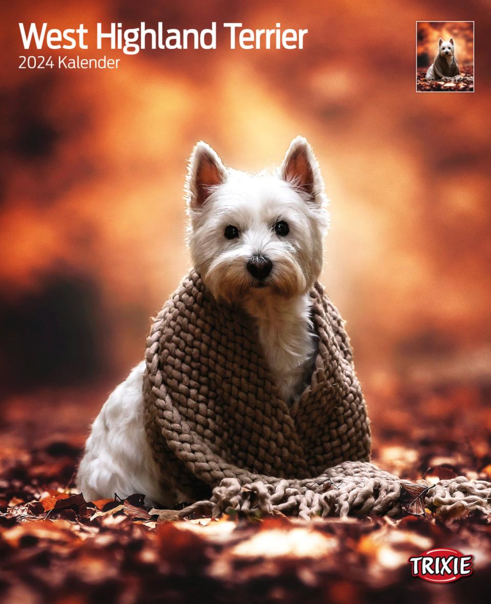 Kalender West Highland Terrier
