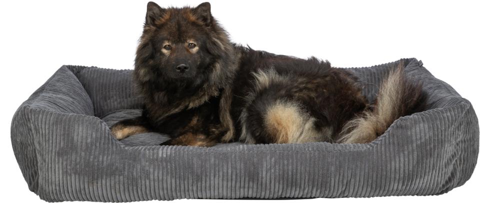 Trixie Jonna vital hundeseng