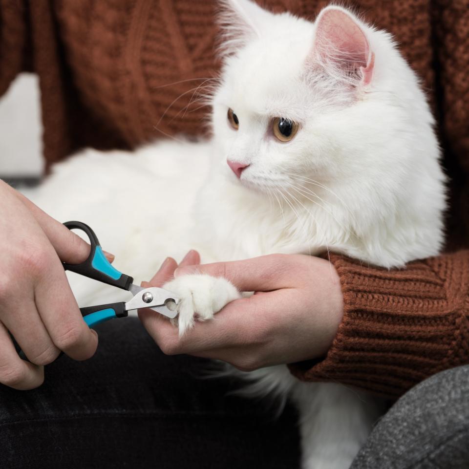 Trixie Neglesaks til små hunde, katte, gnavere og fugle