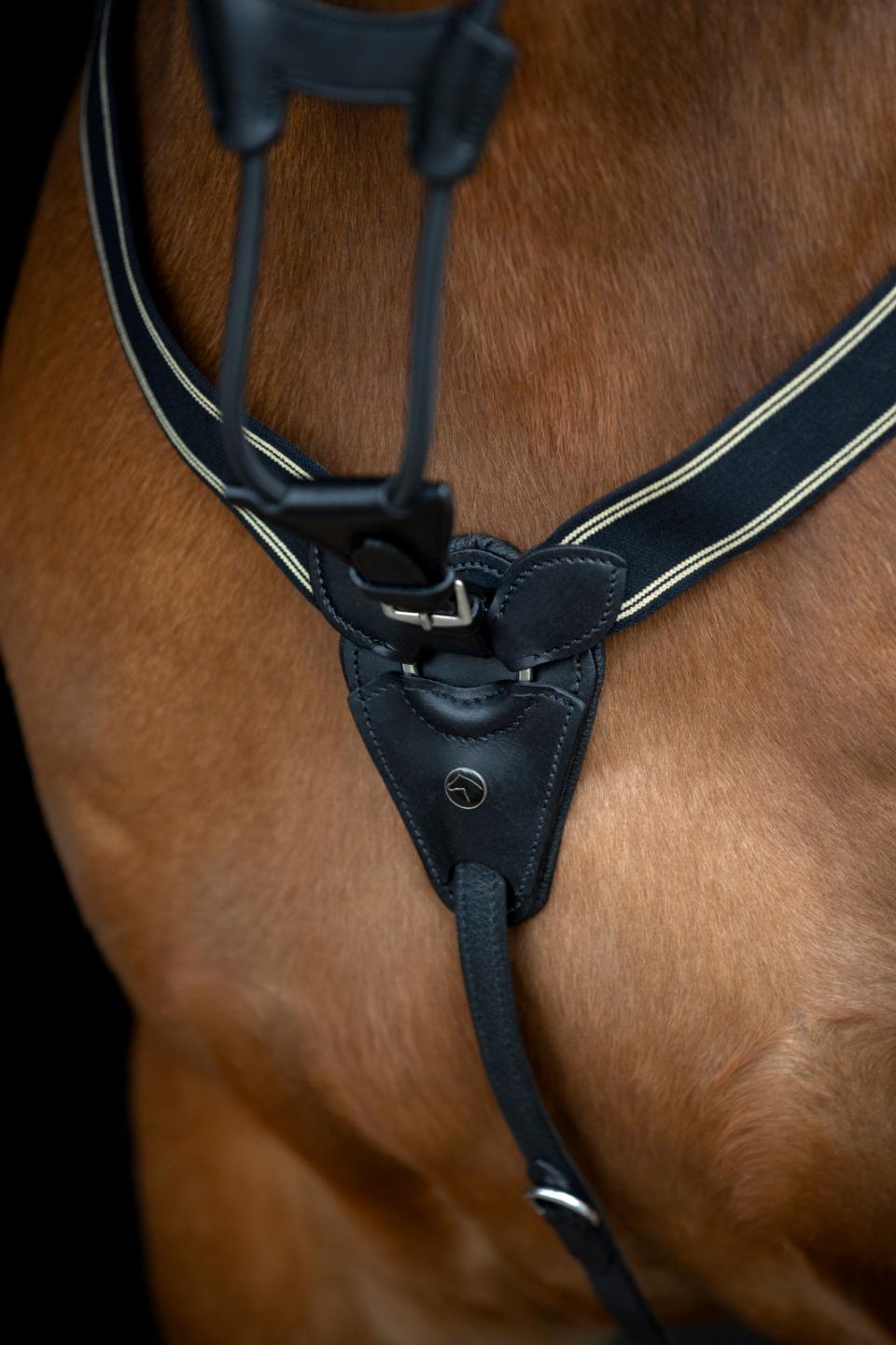 HorseGuard Derin loose elastic martingal