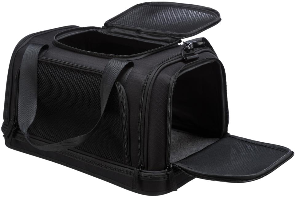 Plane airline carrier