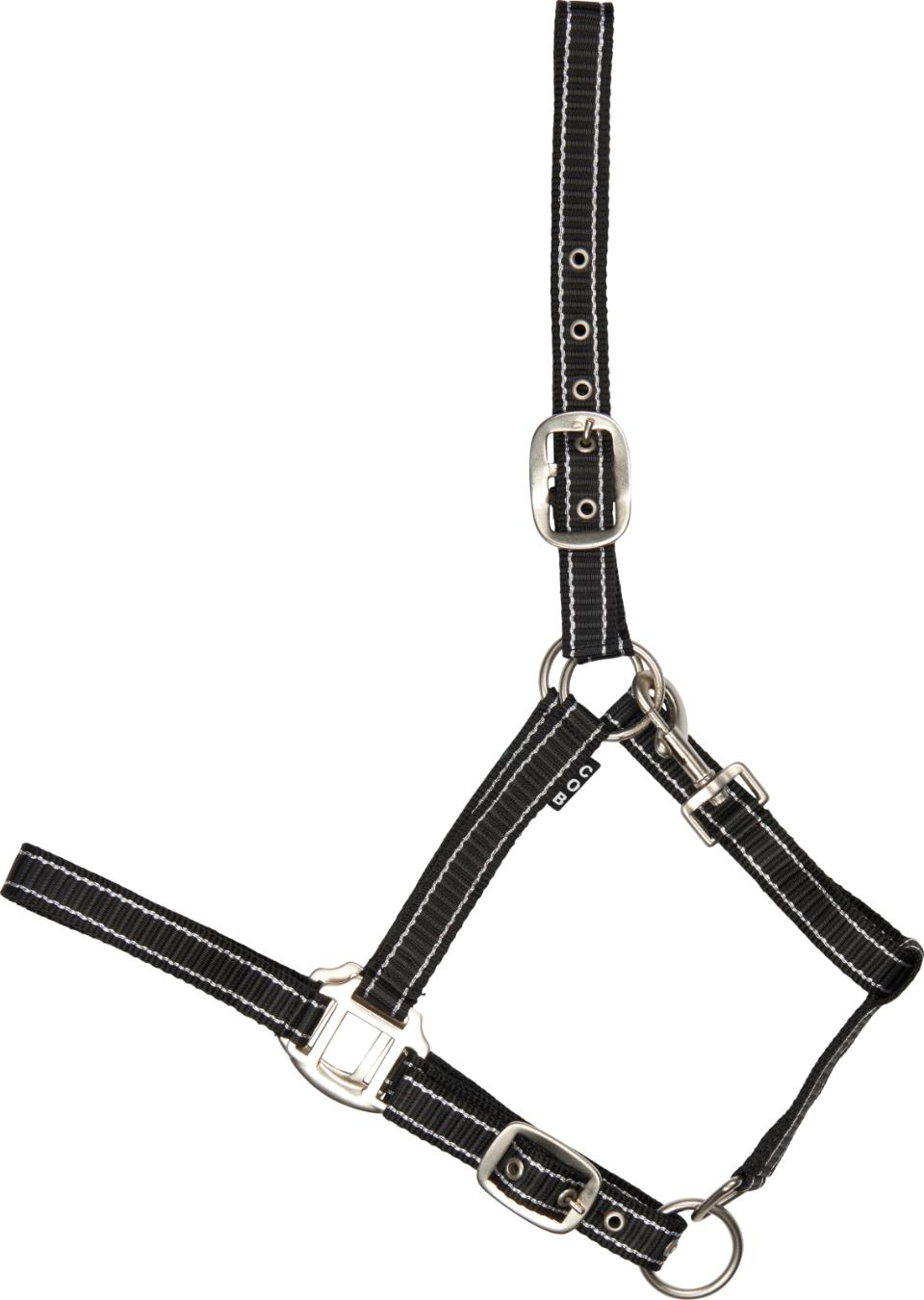 HorseGuard Rio grime