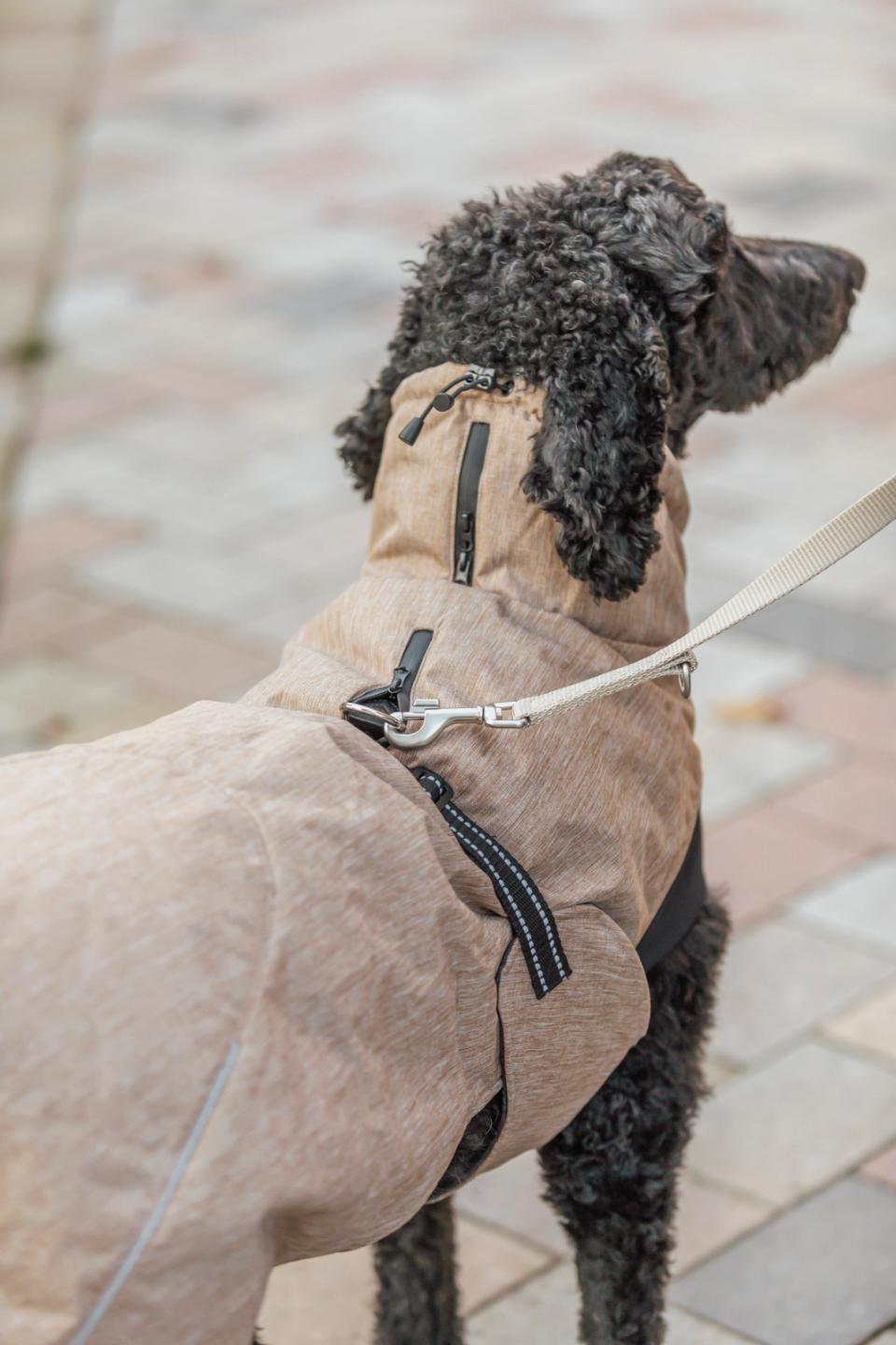 Trixie Riom vintertäcke för hundar