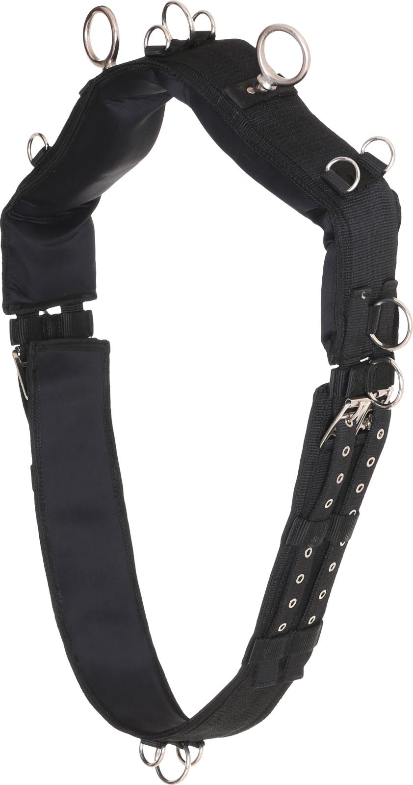 HorseGuard Cheval Longiergurt