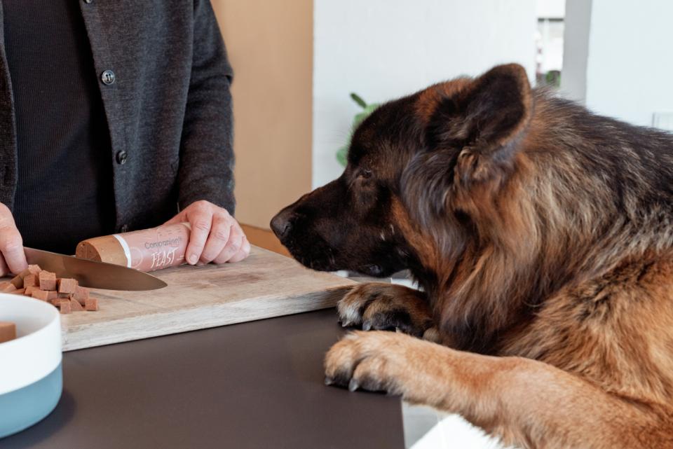 Companion+ FEAST hundfoder korv, Anka