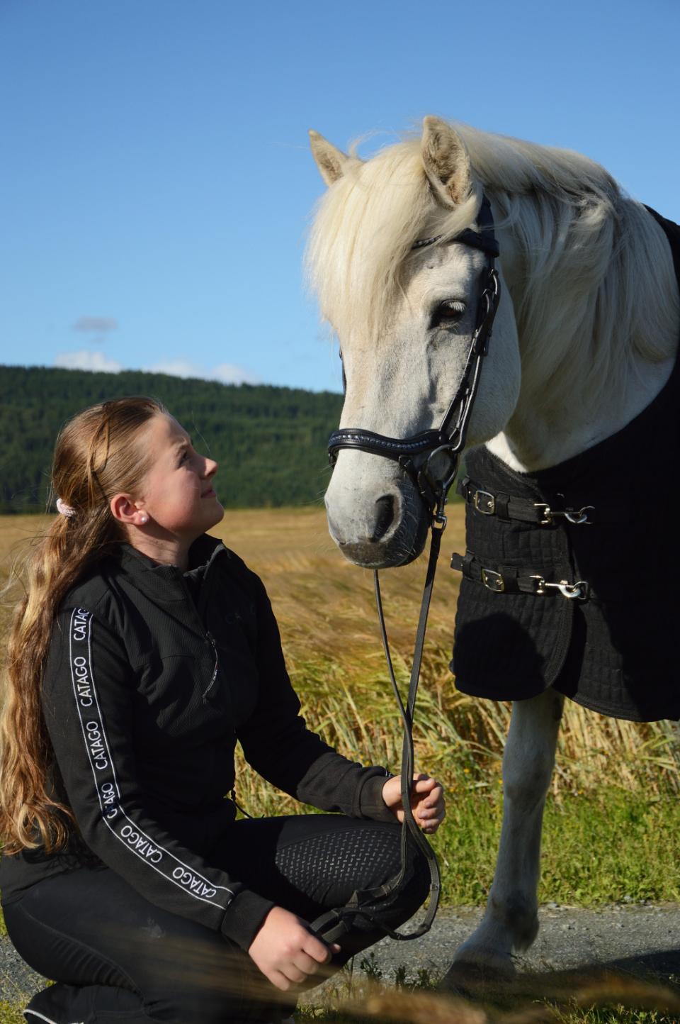 CATAGO Raja icelandic träns