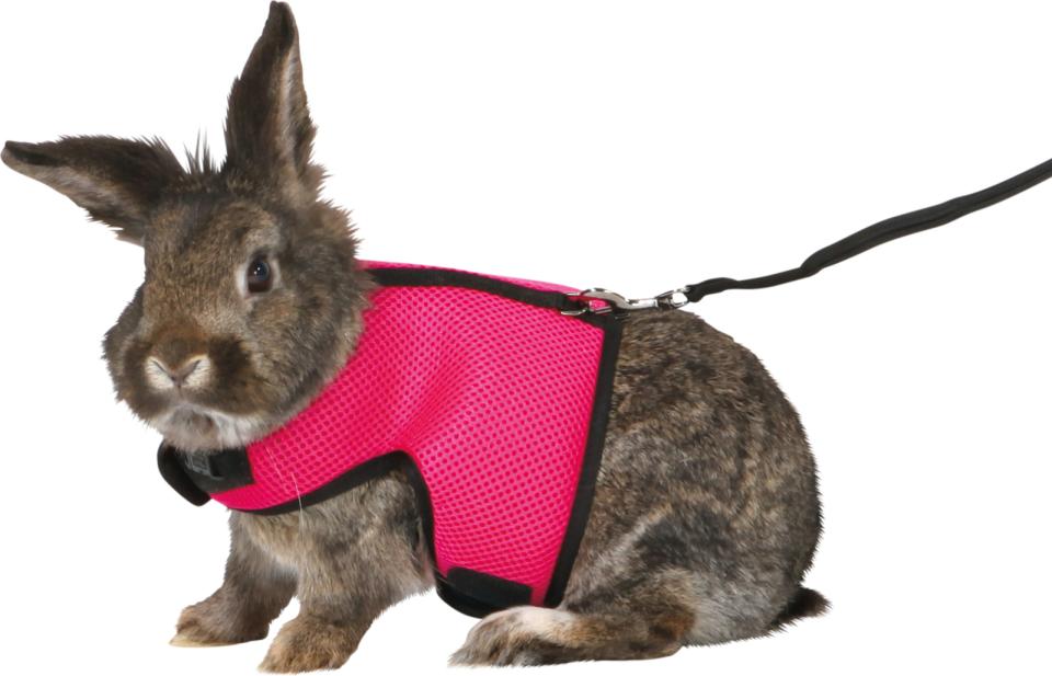 Trixie Seletøj med line til smådyr