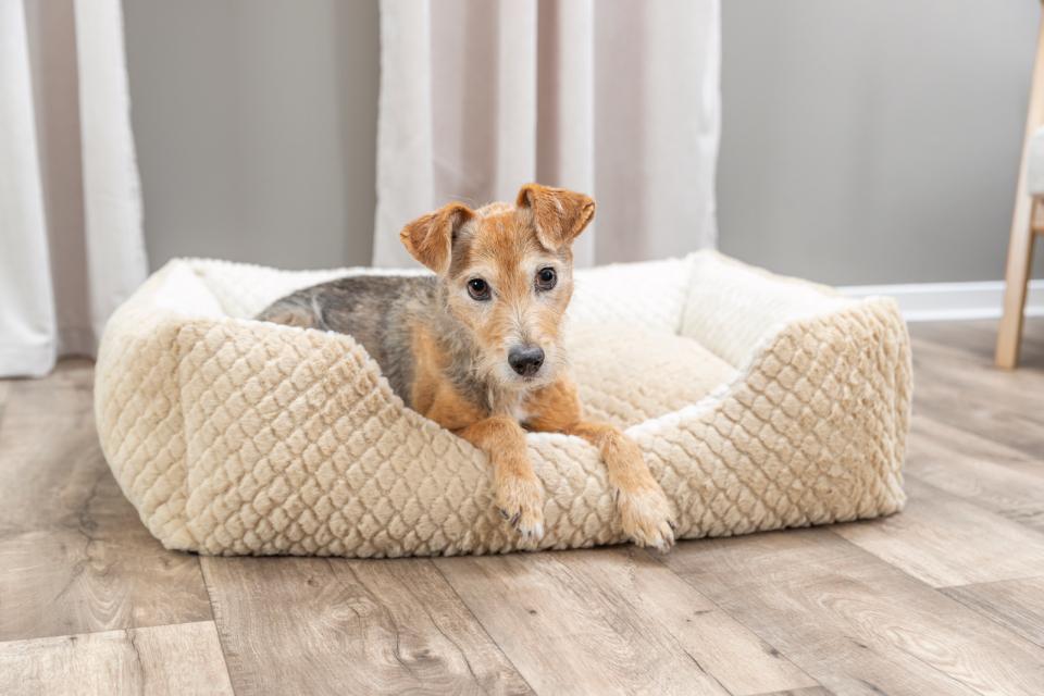 Trixie Kaline Mio Bed, Rectangular