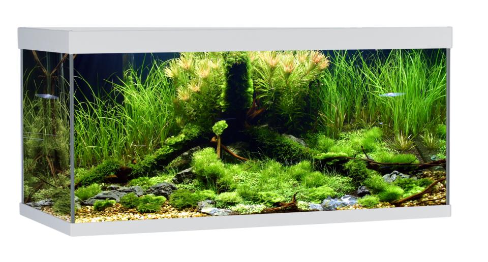 AkvaStabil ELEMENT Akvarium