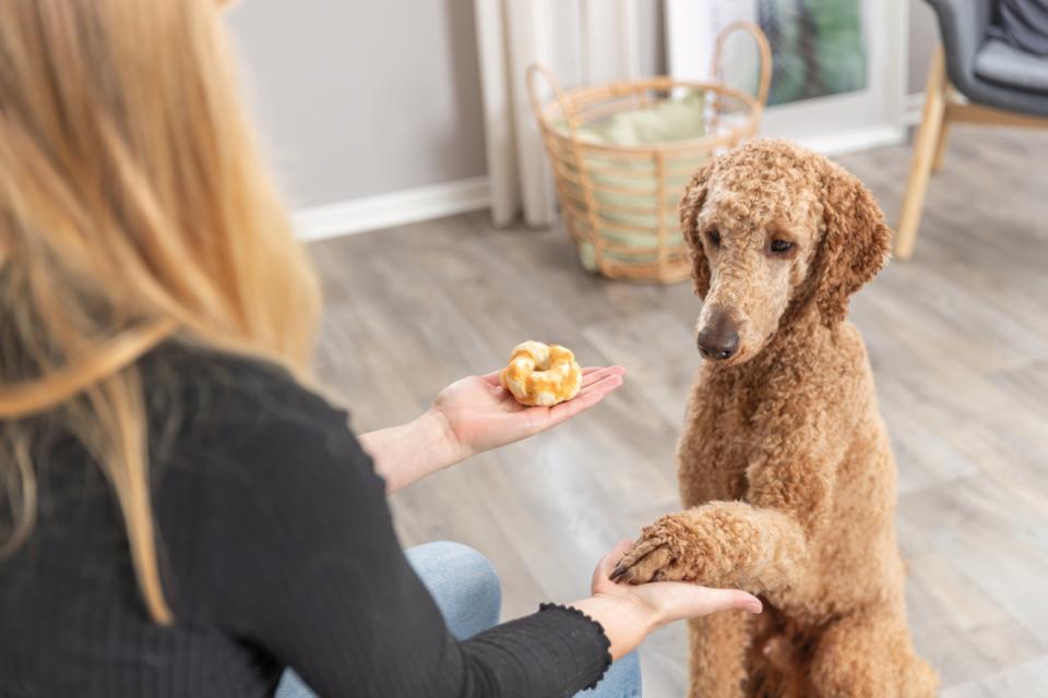 Trixie Denta Fun Twists, collagen med kylling