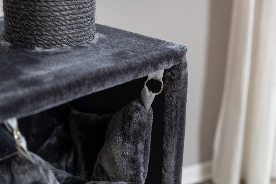 Trixie Antonio kattetræ