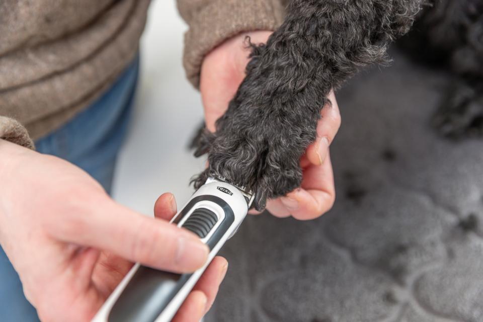 Trixie klippemaskine til batteri SLIM TR500