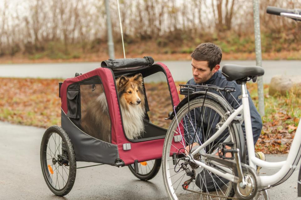 Trixie cykeltrailer