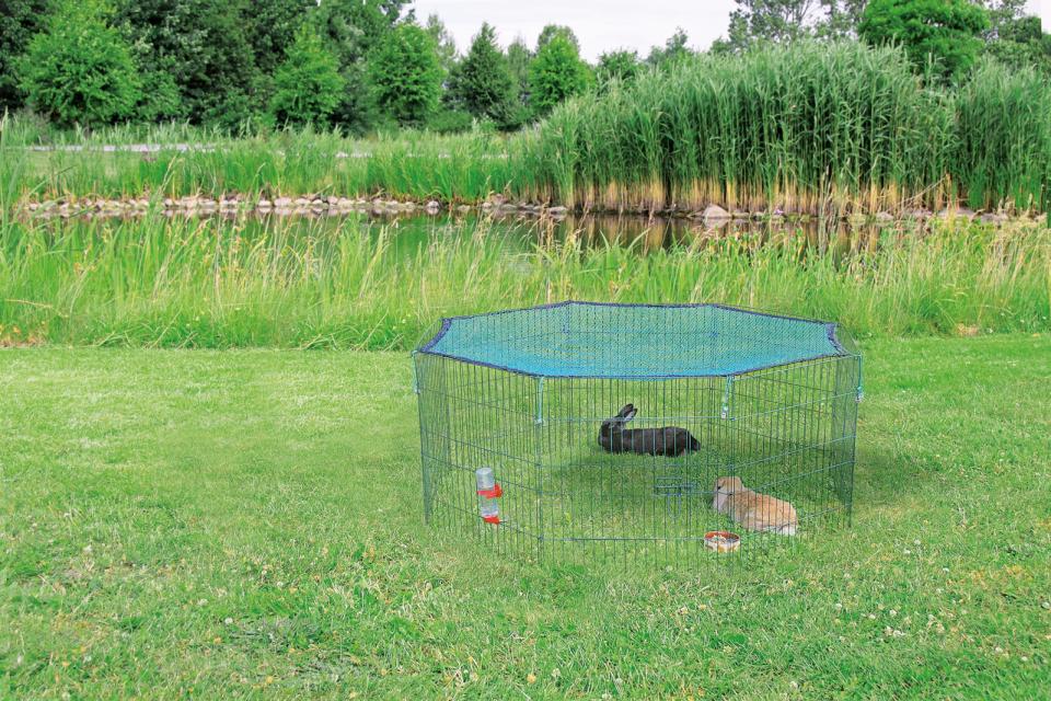 Outdoor Run with Protective Net