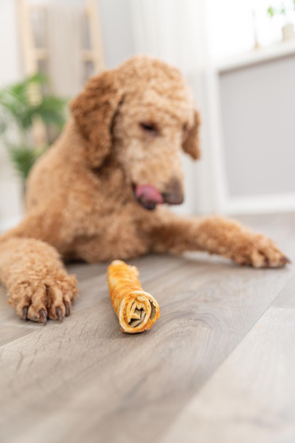 Trixie Denta Fun Roll, collagen med kylling