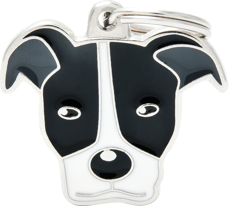 MyFamily Friends, amerikansk pitbullterrier