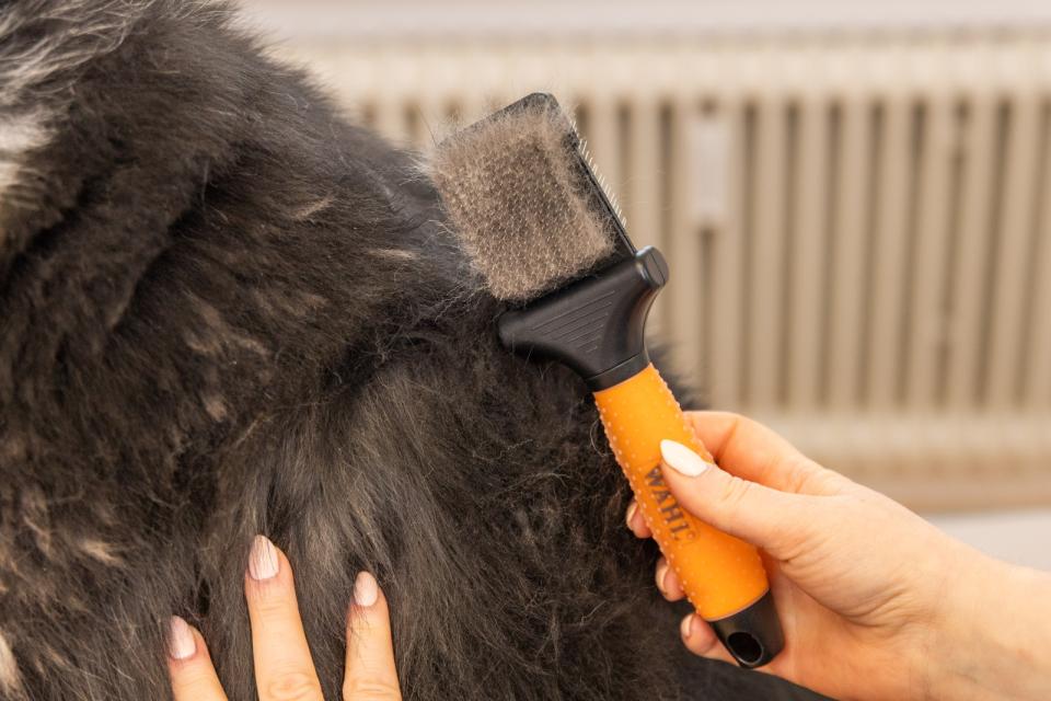 Wahl Premium Flexibel Slickerborste