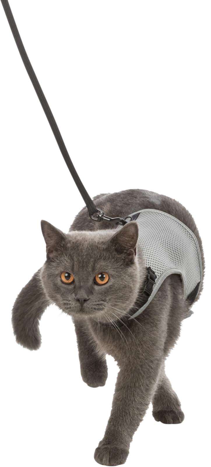 X-Cat kattesæt m. elastik line