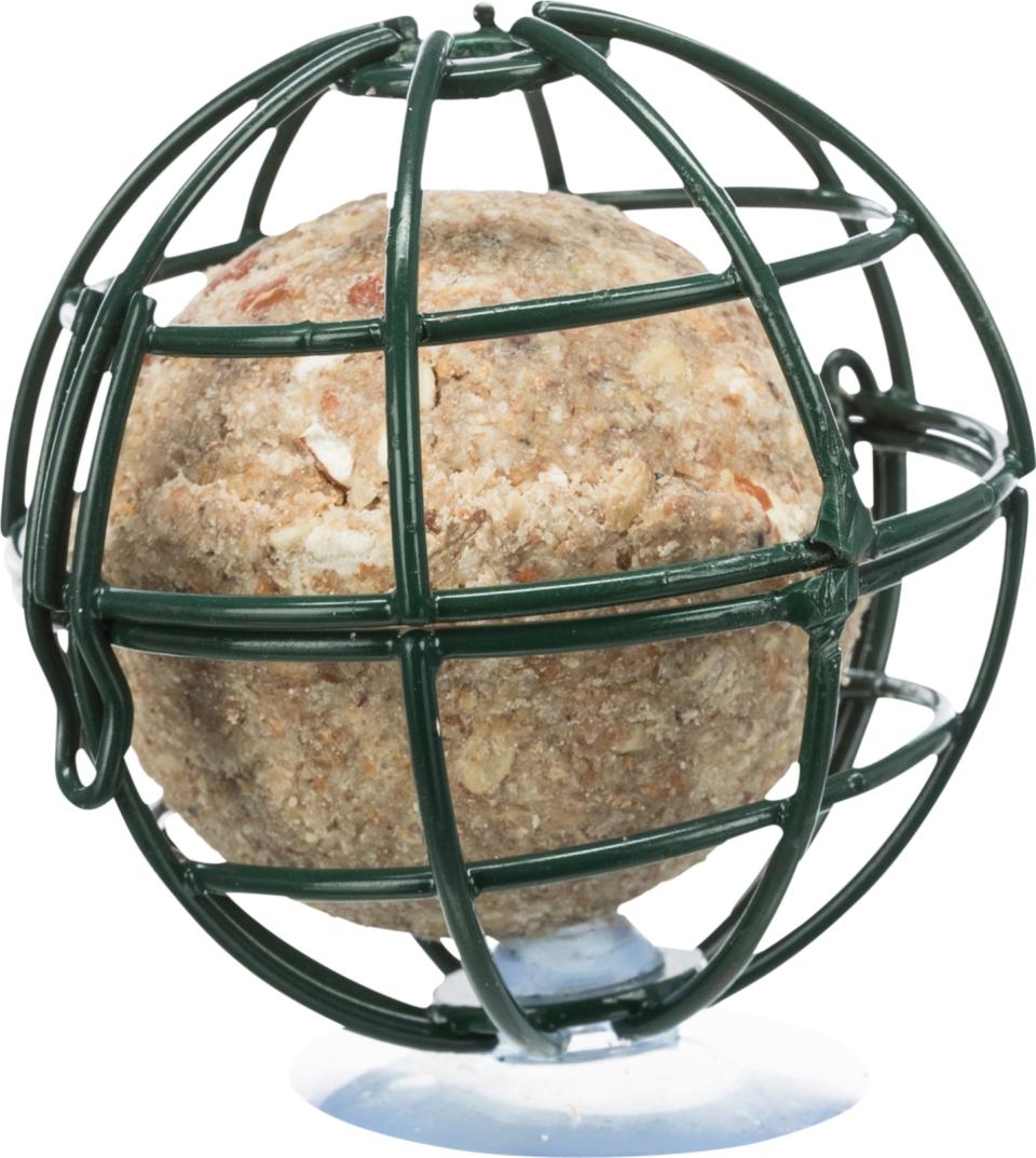 Fat ball holder for window pane