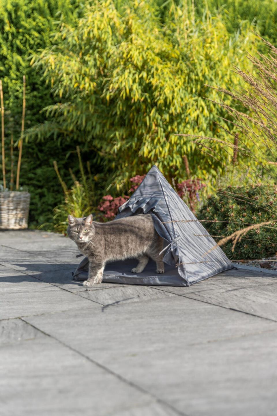 Trixie Samoa Tipi hule