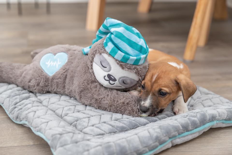 Junior sloth heartbeat, plush