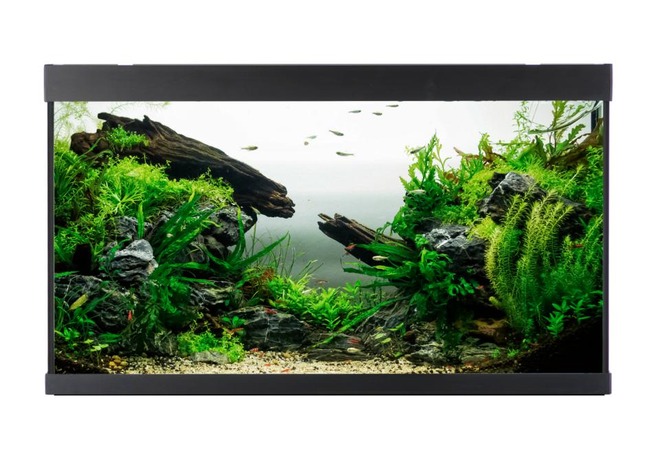 AkvaStabil ELEMENT Akvarium - 144 liter