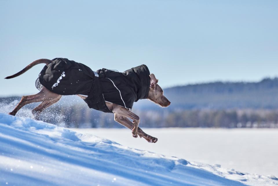 Hurtta Extreme Warmer III ECO hundefrakke