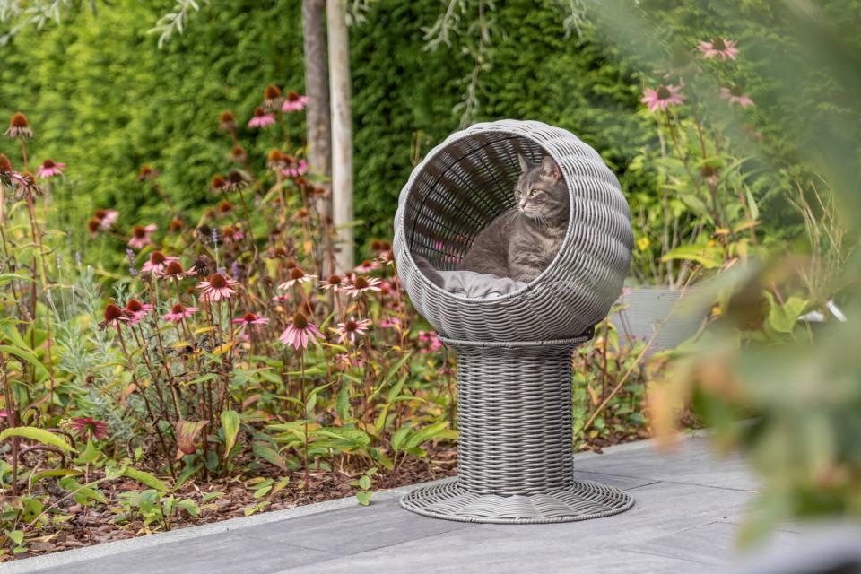 Trixie Amalia kattehule, polyrattan, rund