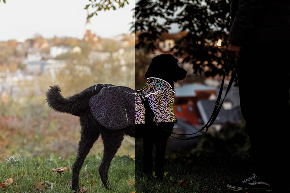 Trixie Limoux Reflect hundejakke