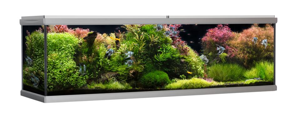 AkvaStabil MOVE akvarium - 720 liter
