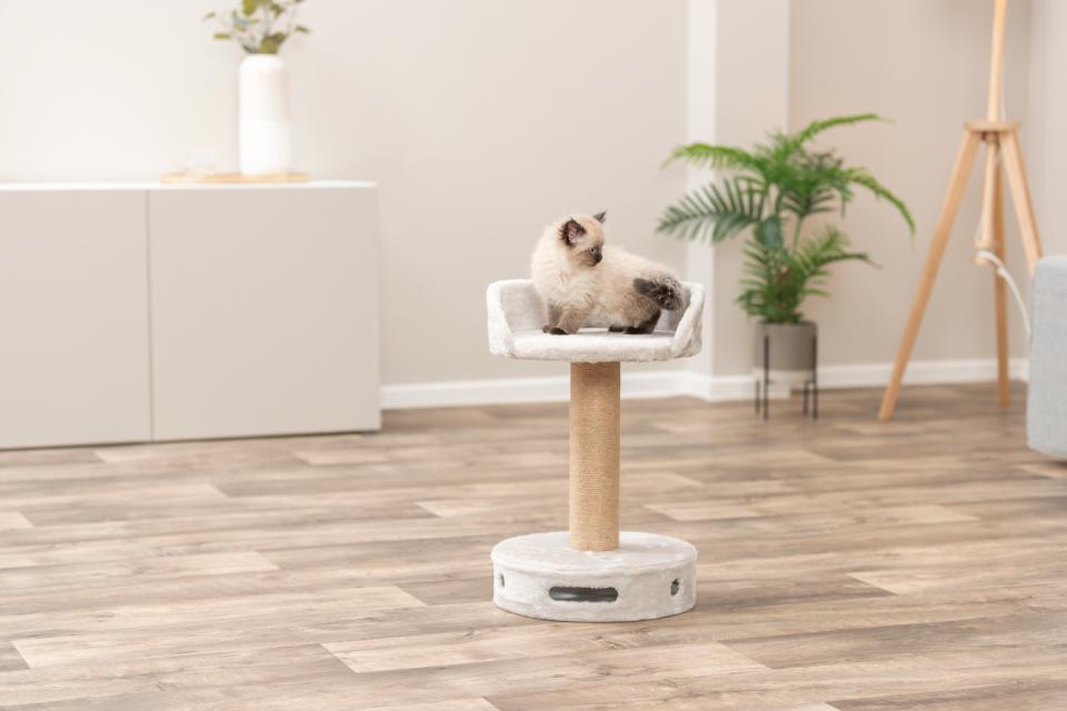 Trixie Kradsetræ Dalia