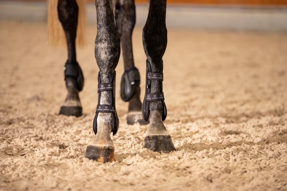 CATAGO FIR-Tech Performance JP Spring gamacher