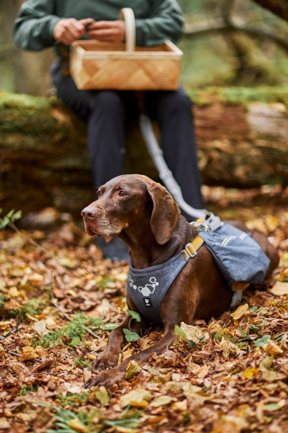 Hurtta Expedition Pack ECO hundesele