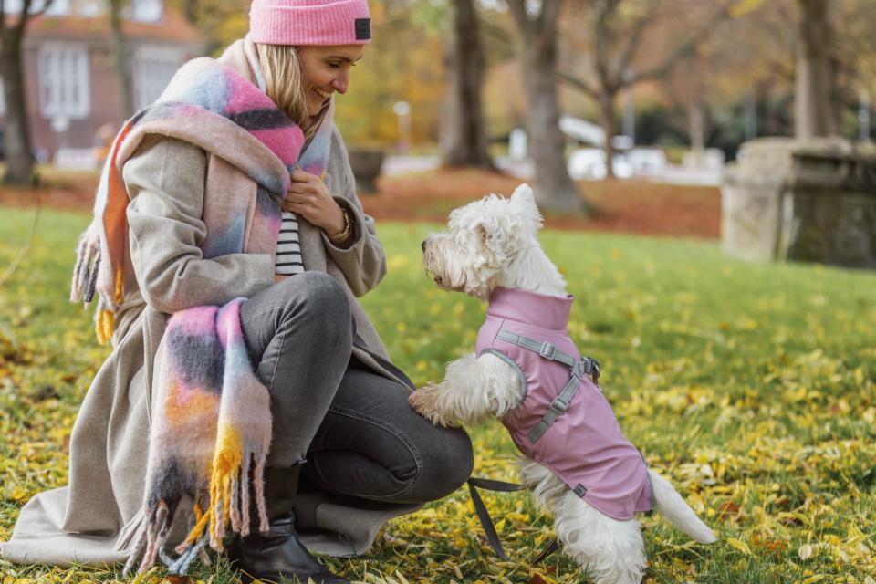 Trixie Pontis regn hundedækken med sele