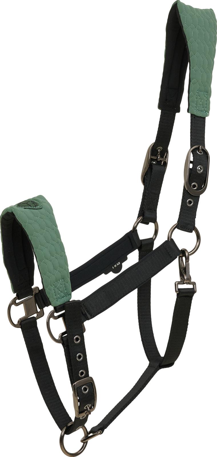 Catago FIR-Tech Grand grime