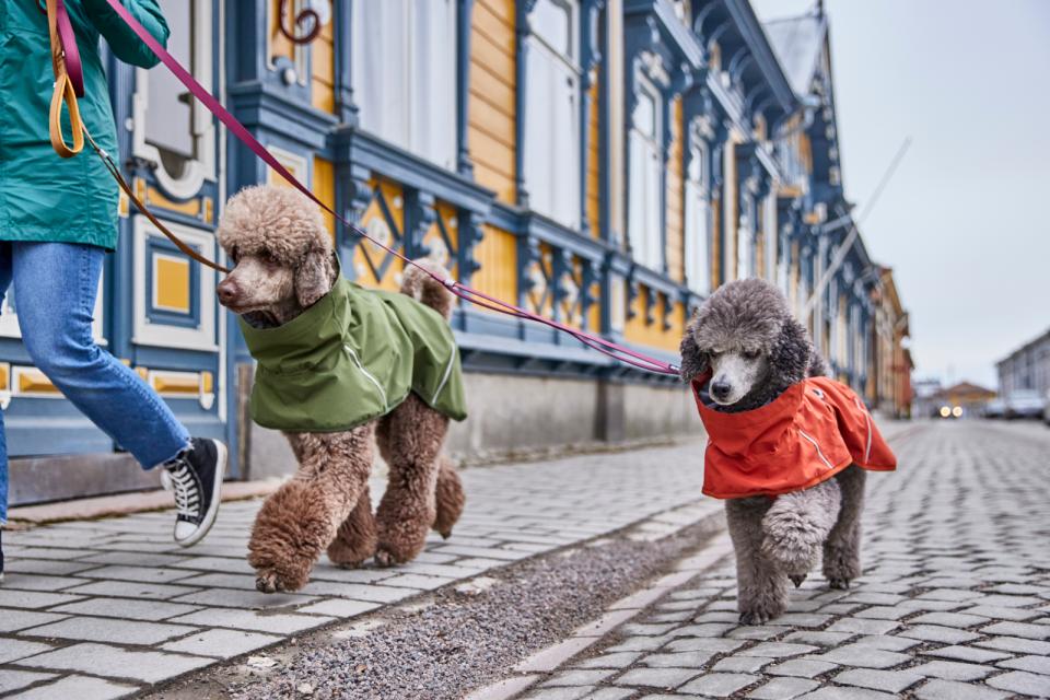 Hurtta ECO Mudventure, dekken