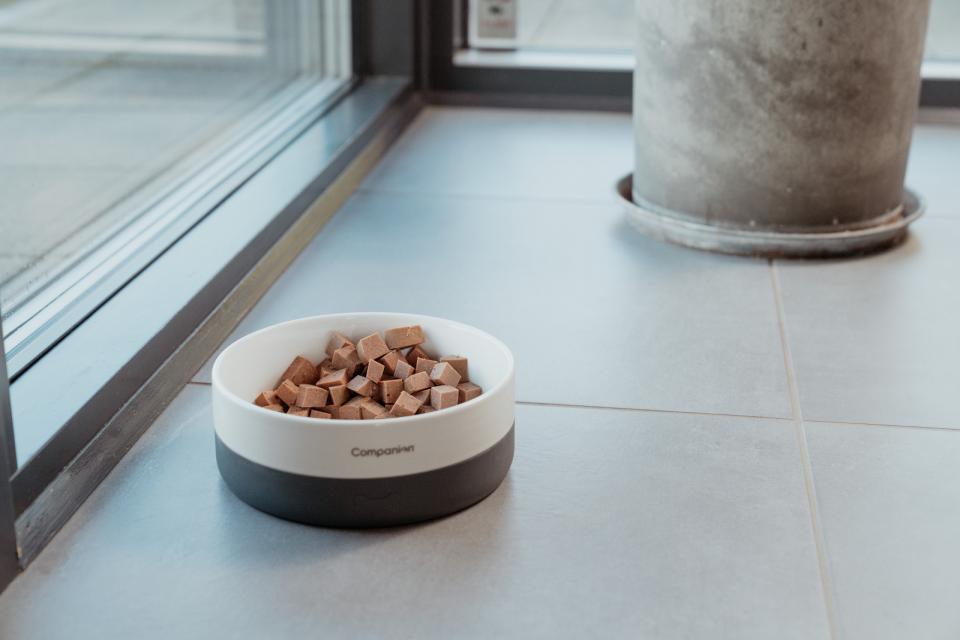 Companion+ FEAST foderpølse til hunde, Hjort