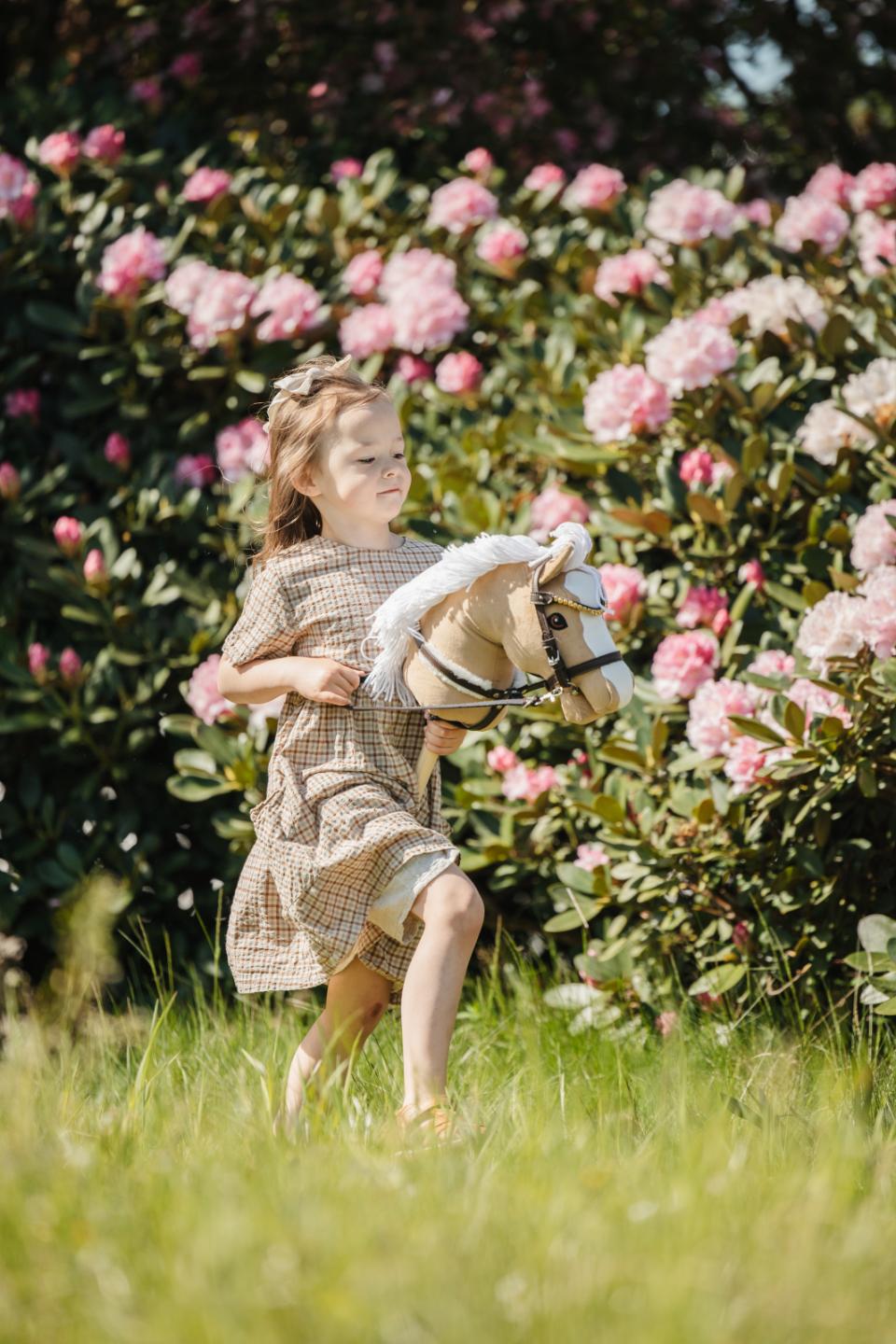 My Hobby Horse martingale, brown