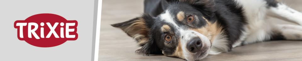 Magnetisk display strip, hund