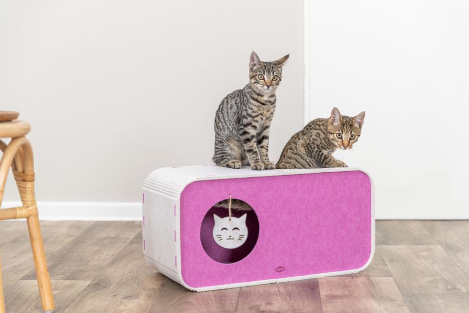 Trixie Cave Merle, felt, rectangular