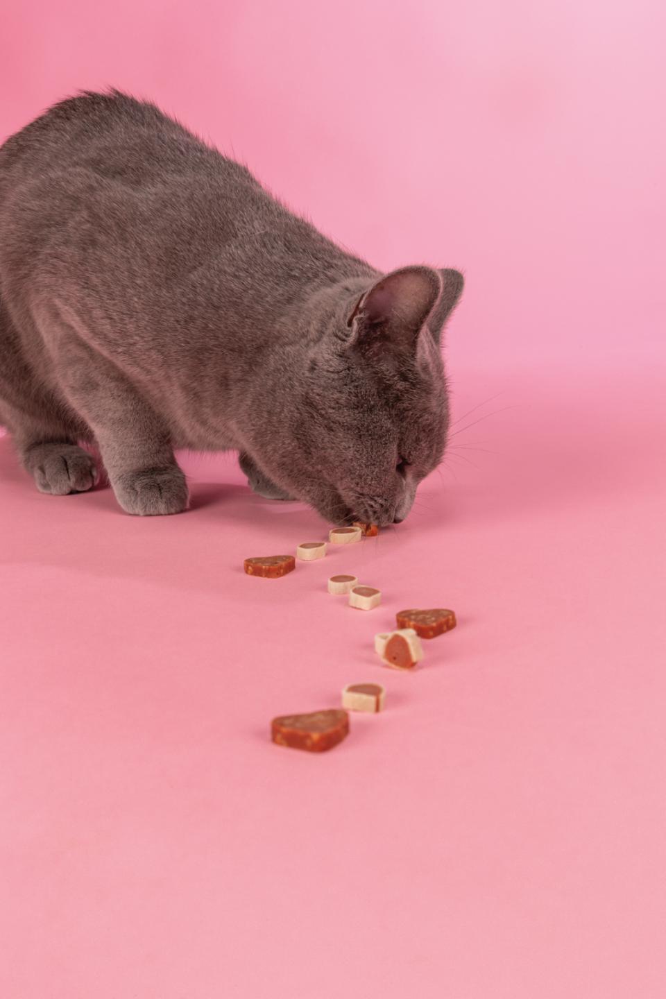 Jolly Paw Chicken Snack (kylling og sej)