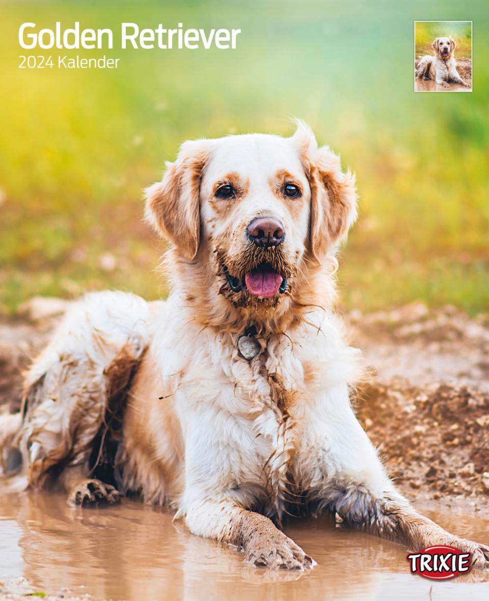 Kalender Golden retriever