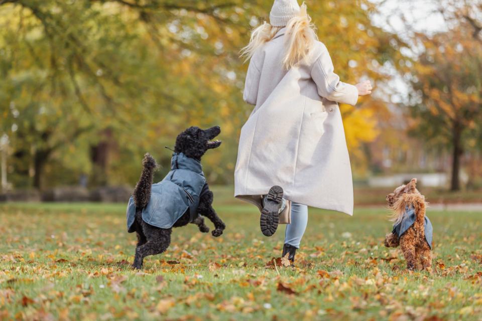 Trixie Riom vintertäcke för hundar