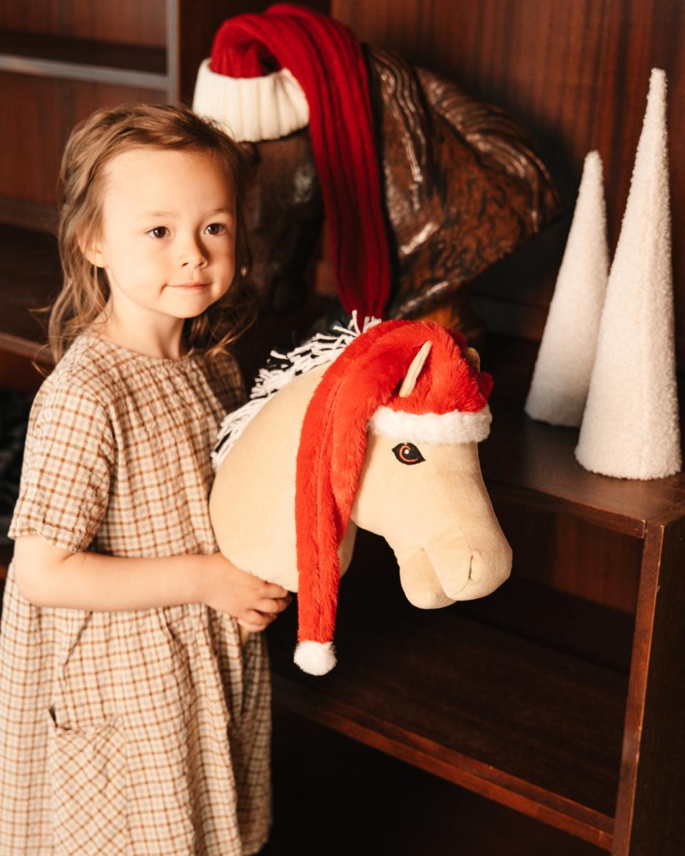 My Hobby Horse Christmas hat