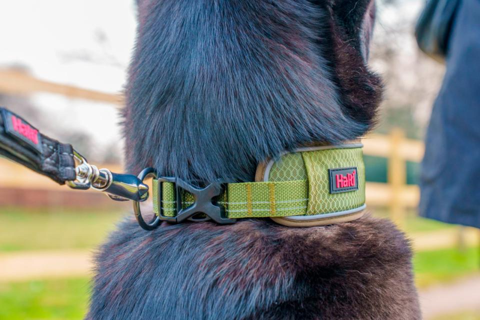 Halti Anatomy Halsband