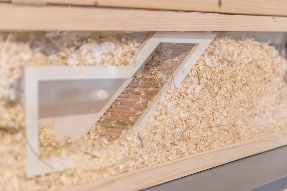 Trixie Watch box with tunnel