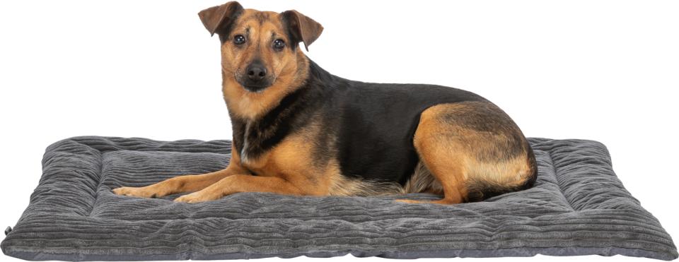 Trixie Jonna liggemåtte