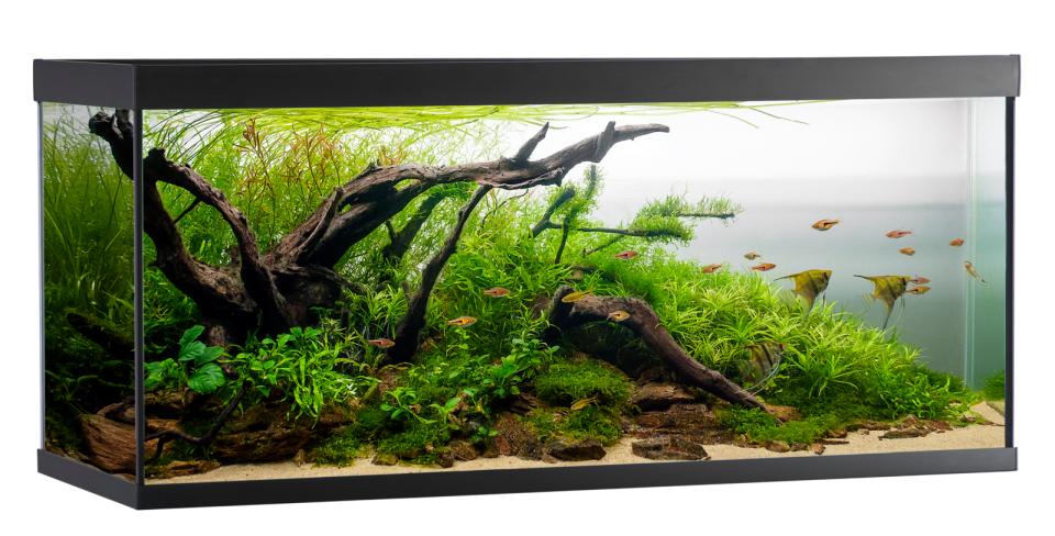 AkvaStabil ELEMENT Akvarium