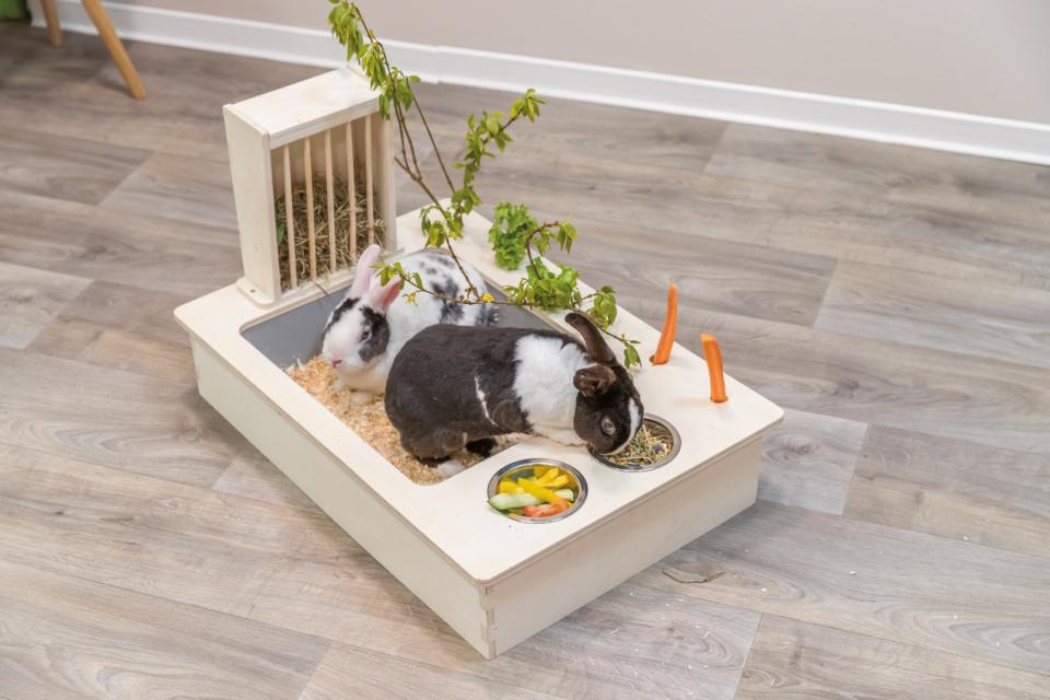 Feeding station w/bowls/hay manger, wood