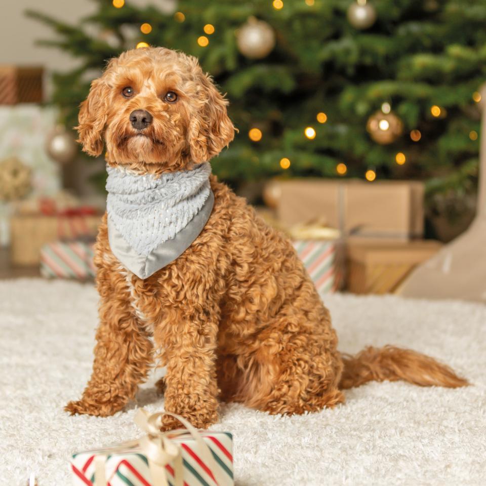 Trixie Xmas Julehalstørklæde, plys